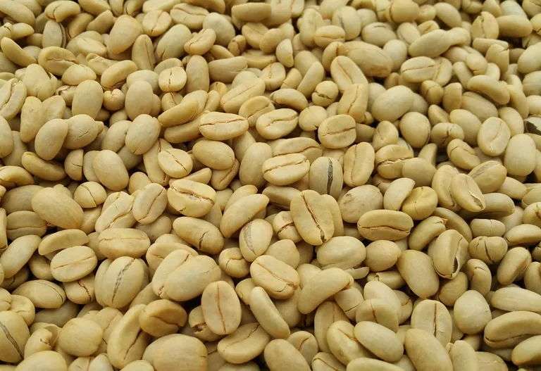 Kenya Nyeri AB Gatomboya - 1Kg-2287