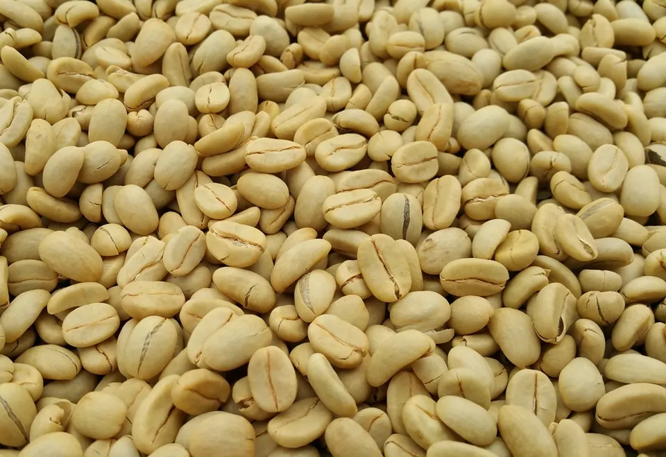 Kenya Nyeri AB Gatomboya - 1Kg-2287