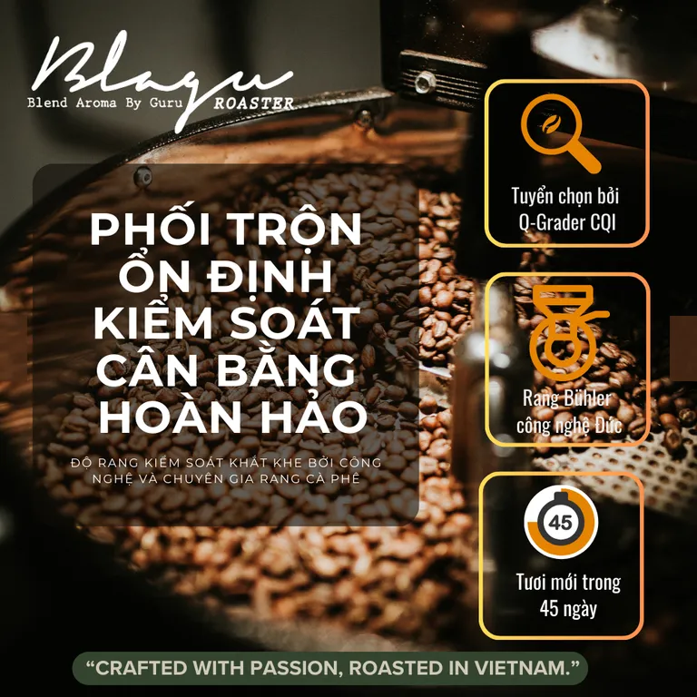 Cà phê BLAGU Cold Brew - Guru 3 - Bold Cold)